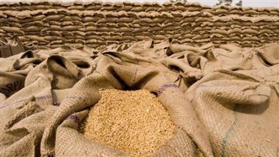 خبراء تغذية: العالم يواجه أزمة غذاء بسبب حرب أوكرانيا وجائحة كورونا