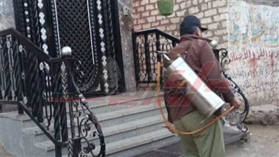 إطلاق حملات مكبرة للقضاء على البعوض والحشرات الطائرة بكفر الشيخ
