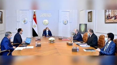 الأمن الغذائي ملف على رأس أولويات الرئيس السيسي.. إليكم تفاصيل المشروعات القومية