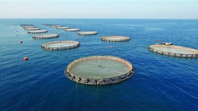 السفير المصري لدى نواكشوط يستعرض التجربة المصرية في الاستزراع السمكي