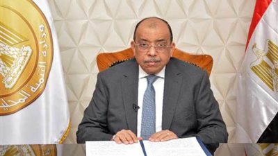 وزير التنمية المحلية: البرنامج التدريبي الثاني للكوادر المحلية الإفريقية يتناول العديد من الموضوعات المهمة للقارة