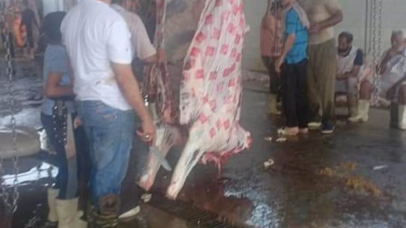 صورة أرشيفية