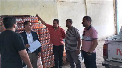 تحرير 30 محضر مخالفات تموينية بالدقهلية وإحالته للنيابة العامة 