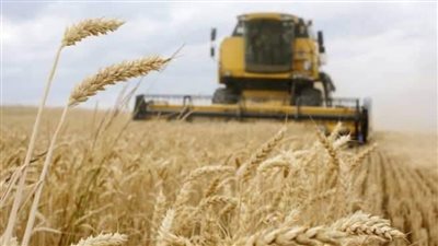 قائمة الدول الأكثر تضررًا من أزمة القمح الأوكراني