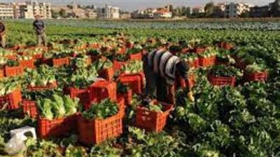 5 خبراء يحددون أثر التغيرات المناخية على التراكيب المحصولية والإنتاج الزراعي وأساليب مواجهتها