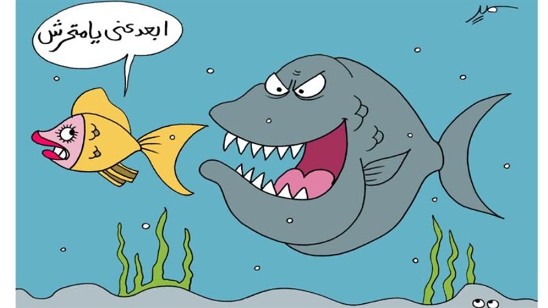 بوابة روز اليوسف