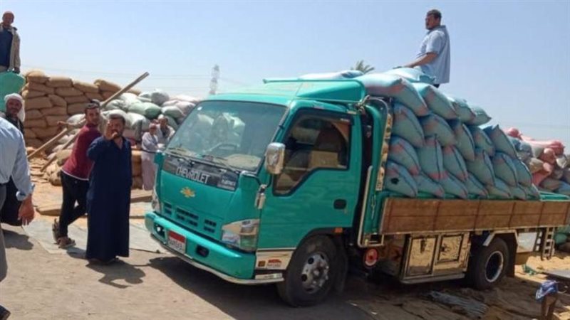 توريد القمح ببنى