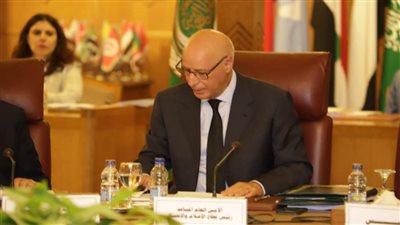 الجامعة العربية: القضية الفلسطينية ومكافحة الإرهاب على رأس أولويات الاستراتيجية الإعلامية العربية