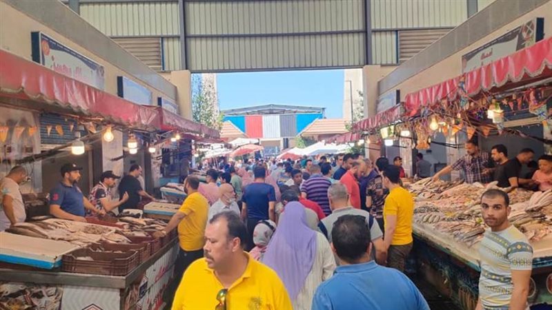 أسماك بورسعيد