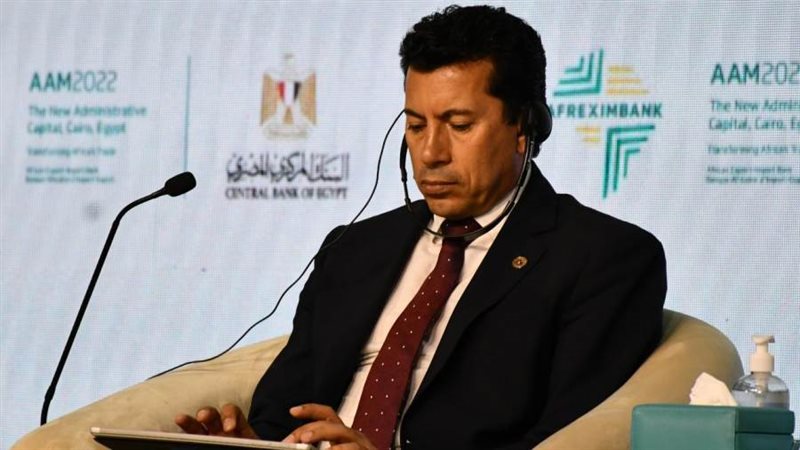 د. أشرف صبحى