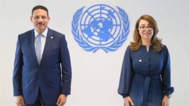 الوزير حسن عبد الشافى