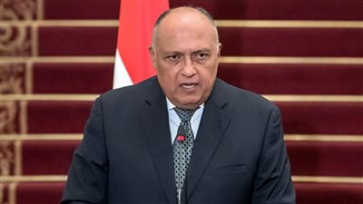 شكري يعرب عن تطلعه لاستمرار العمل الوثيق بين مصر وفرنسا لتعزيز علاقات الشراكة