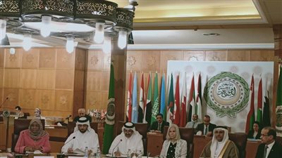 السفيرة هيفاء أبوغزالة: الجامعة العربية حريصة على التنسيق للقمة التنموية