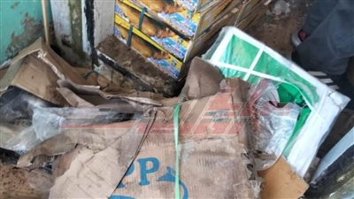 ضبط أسماك مدخنة غير صالحة للاستهلاك الآدمي بكفر الشيخ