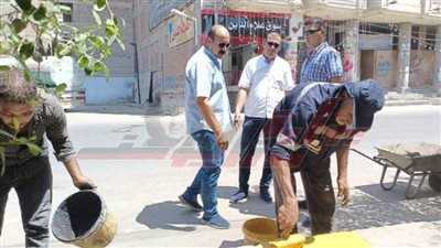  أعمال تجميل مكبرة وطلاء البلدورات بمدينة دسوق