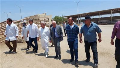 محافظ بورسعيد يتفقد المجازر استعدادًا لعيد الأضحى