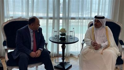 وزير المالية: مصر أصبحت أرضًا خصبة جاذبة ومحفزة للاستثمارات في مختلف المجالات