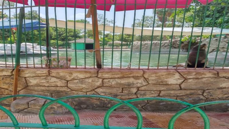 حديقة الحيوان