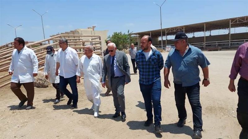 جولة المحافظ