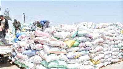 توريد 626 طنا من محصول القمح للصوامع والشون بالشرقية
