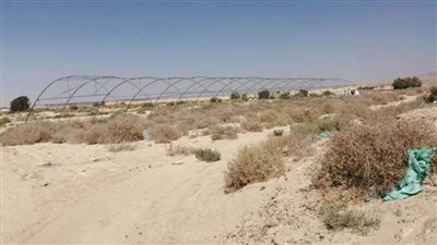 رئيس نخل يتابع مشروعات الخطة الاستثمارية في قطاع الكهرباء 