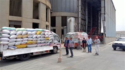 توريد 234712 طنا و228 كيلو قمح لشون وصوامع كفر الشيخ