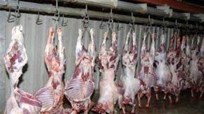 الأضحية وضمان جودة اللحوم.. ندوة تثقيفية ببيطري القناة 