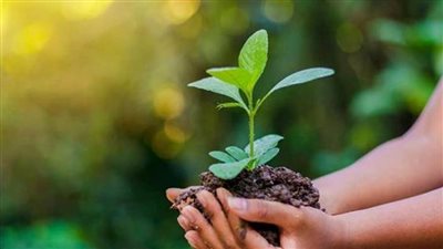 برنامج الأمم المتحدة للبيئة: حملة 