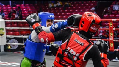 مصر تفوز بتنظيم البطولة الإفريقية للفنون القتالية المختلطة «MMA» أغسطس المقبل