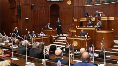 مجلس الشيوخ يواصل جلساته العامة لاستكمال مناقشة مشروع قانون الرياضة