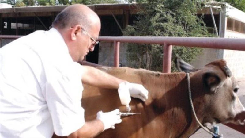 انتقال عدوى الحمى