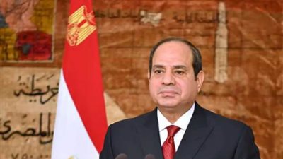 الرئيس السيسي يعرب عن تعازيه في شهداء الواجب من الجنود السودانيين