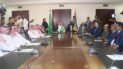 السعودية تدعم موريتانيا بـ100 مليون دولار في مجال المياه 