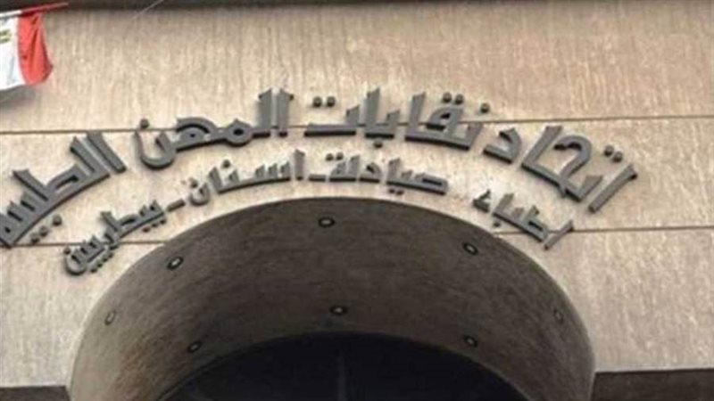 اتحاد نقابات المهن