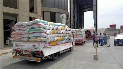 مراكز تجميع الأقماح تستقبل 234938 طن قمح بكفر الشيخ