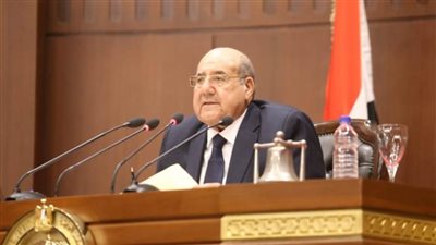 رئيس مجلس الشيوخ يؤكد موقف مصر الدائم والمؤيد لمبادئ حركة عدم الانحياز