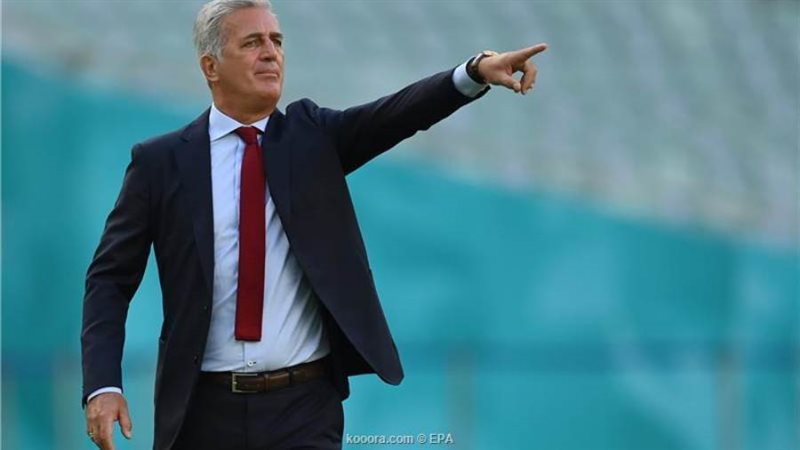 فلاديمير بيتكوفيتش