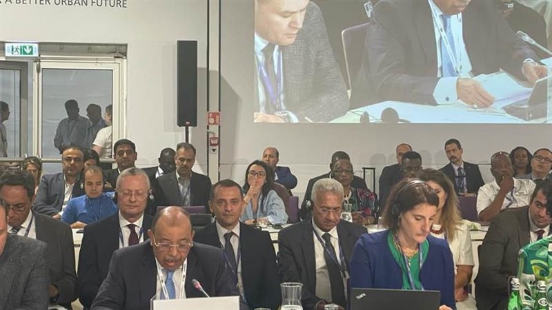 وزير التنمية المحلية