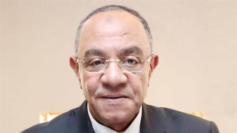 النائب عادل ناصر