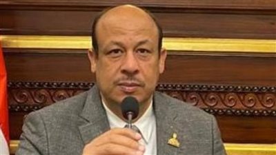 برلماني عن ثورة 30 يونيو: نقطة لانطلاق الجمهورية الجديدة