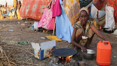 مسؤولة دولية تطالب بعدم تجاهل حالة حقوق الإنسان في إثيوبيا