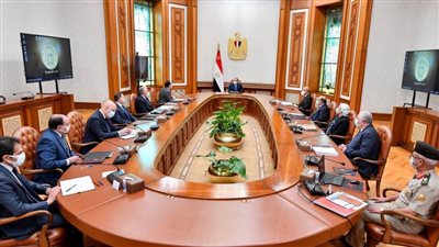 الرئيس السيسي يتابع الموقف التنفيذي لتطوير بحيرة المنزلة والمناطق المحيطة بها