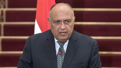 مباحثات مصرية نمساوية بالقاهرة غدا على مستوى وزيري الخارجية