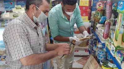 ضبط 995 مخالفة تموينية خلال شهر يونيو الماضي بقنا