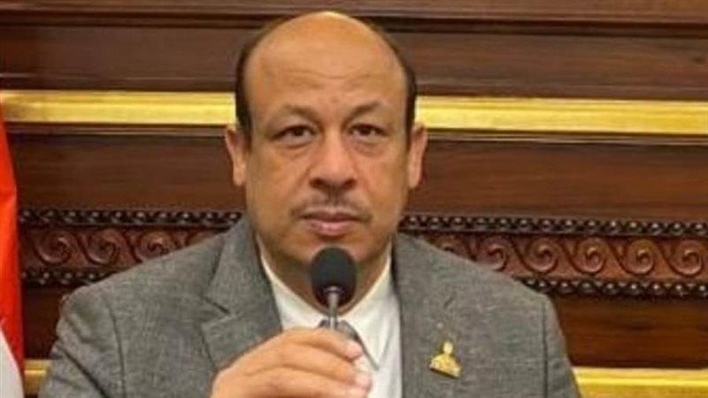 النائب سمير البيومي