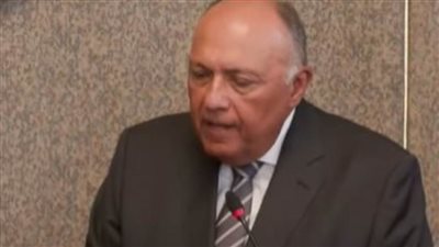 وزير الخارجية: مصر تستضيف 6 ملايين مهاجر من دول عديدة