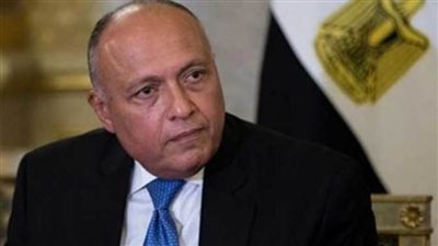 سامح شكري عقب لقاء نظيره النمساوي: التوقيع على عقد مهم لقضبان سكك الحديد