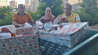 ضبط لحوم مجمدة وكبدة غير صالحة للاستخدام الآدمي بكفر الشيخ