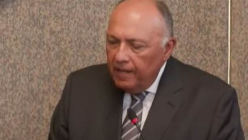 سامح شكرى وزير الخارجية