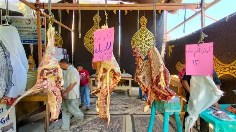 تجهيز وإقامة 8 معارض